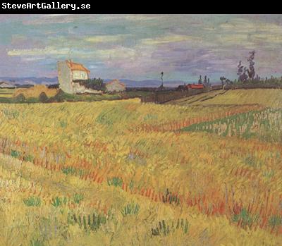 Vincent Van Gogh Wheat Field (nn04)